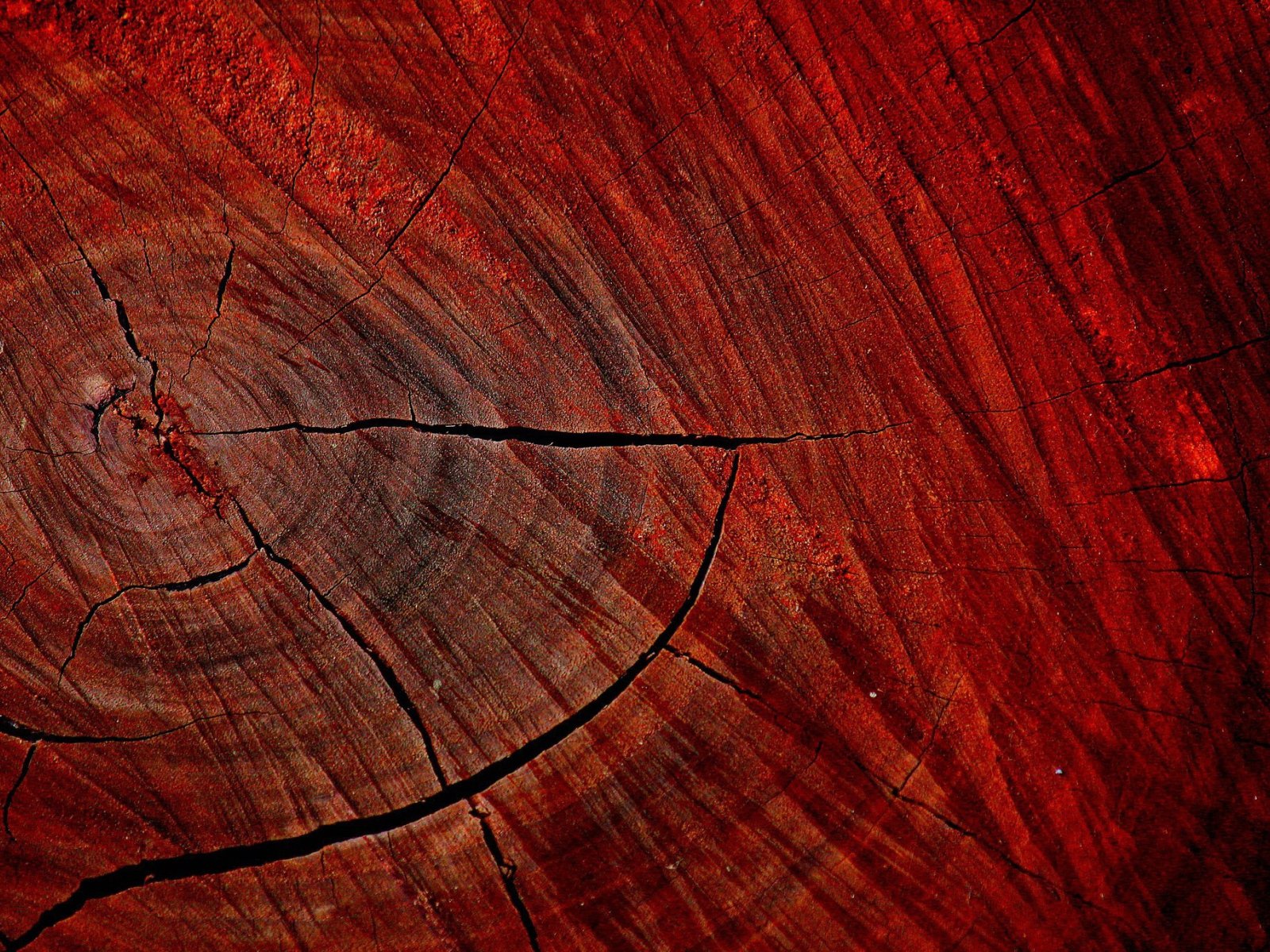 Spa with wood feature wall